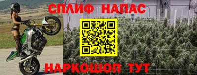 ECSTASY Пугачёв