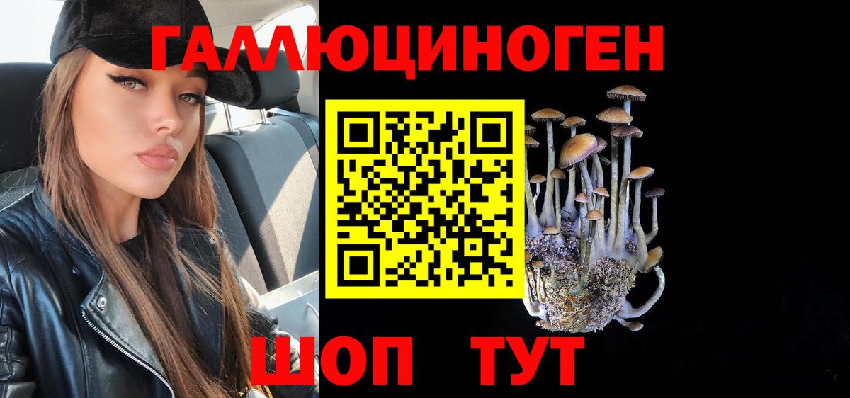 сколько стоит  Вход с VPN  Сунжа  Галлюциногенные грибы Psilocybine cubensis 